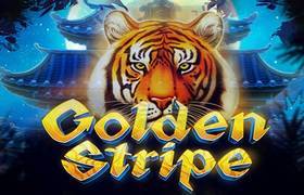 Golden Stripe