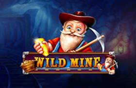 Wild Mine