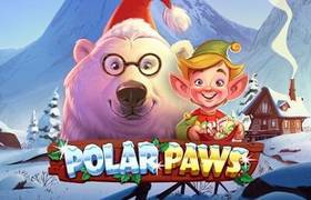 Polar Paws
